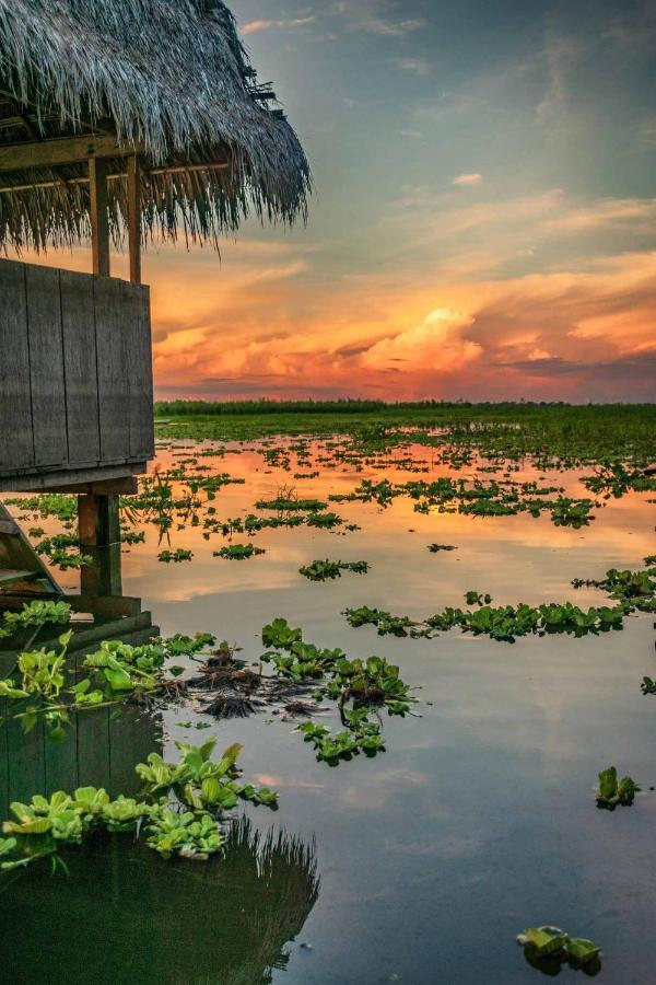 Libertad Jungle Lodge Yucuruche Dış mekan fotoğraf
