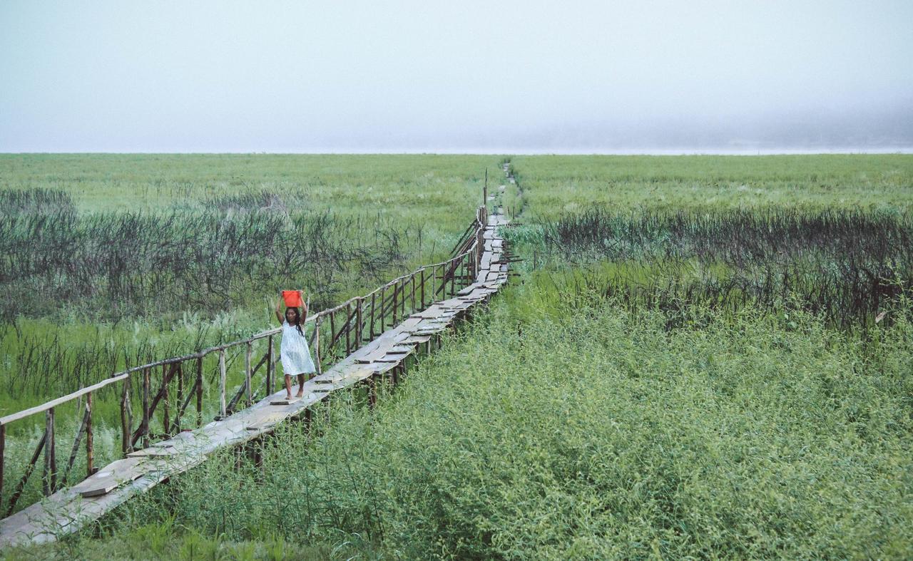 Libertad Jungle Lodge Yucuruche Dış mekan fotoğraf