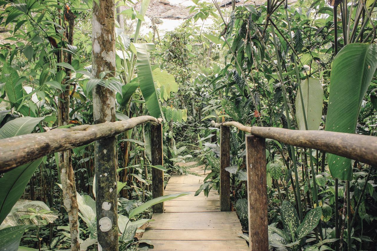 Libertad Jungle Lodge Yucuruche Dış mekan fotoğraf