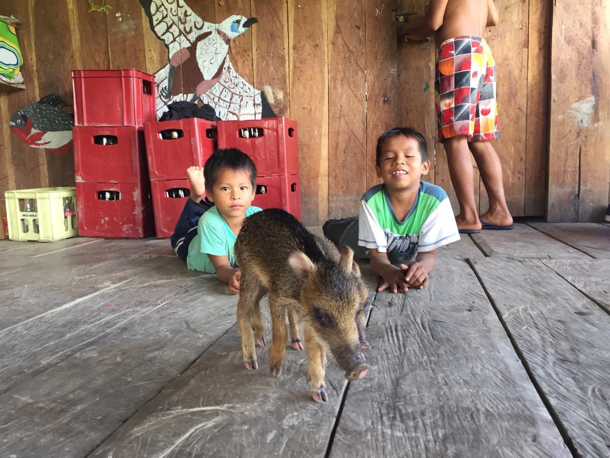 Libertad Jungle Lodge Yucuruche Dış mekan fotoğraf